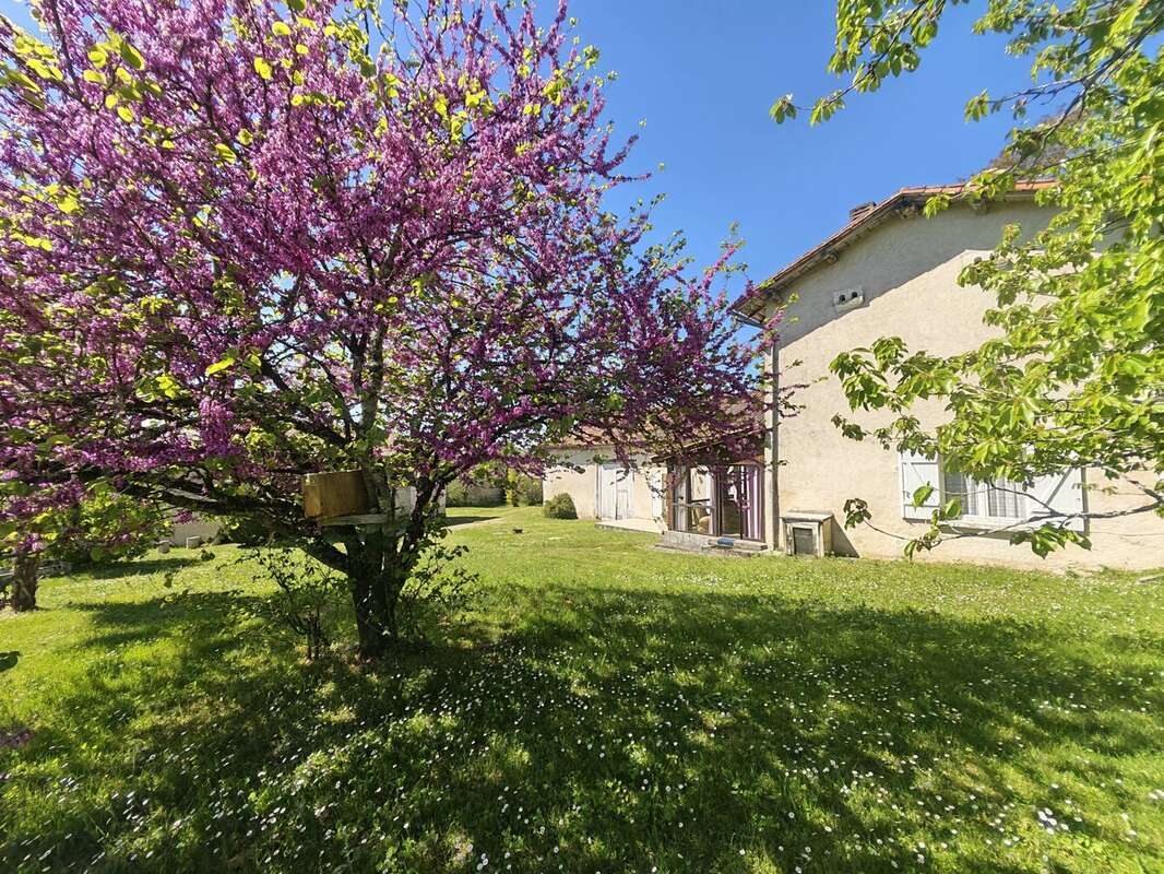 Maison à AUBETERRE-SUR-DRONNE