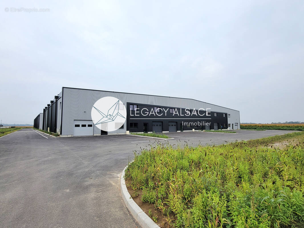 Commerce à FEGERSHEIM