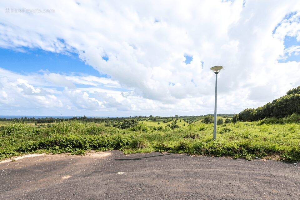 Terrain à GOYAVE