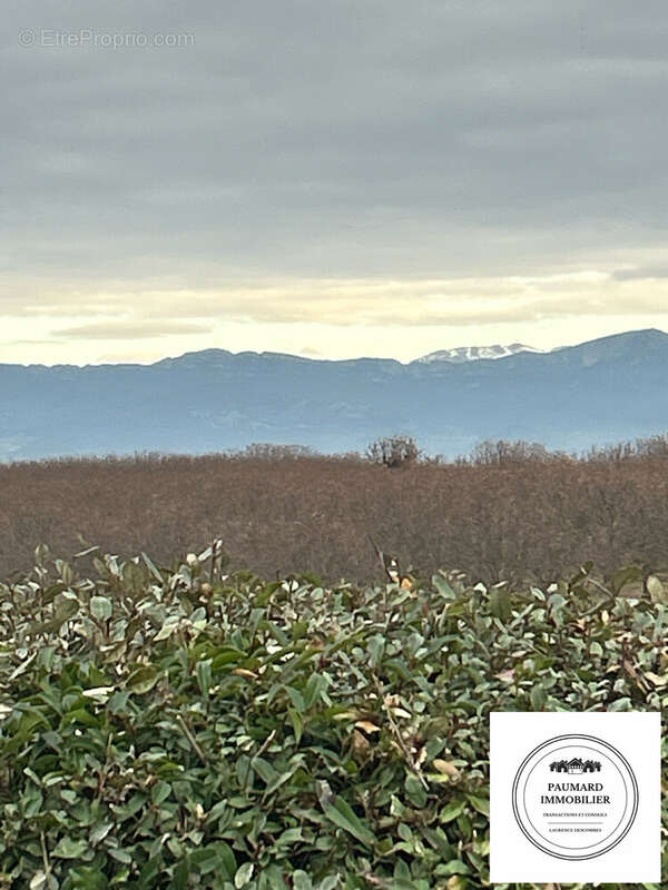 vue de la terrasse  - Maison à GRANGES-LES-BEAUMONT