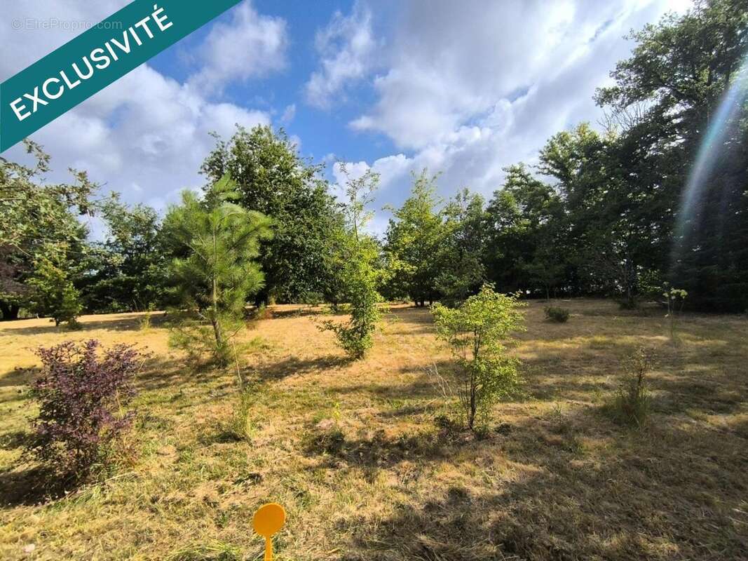 Terrain 1584 m² à Vergt  - photo 5