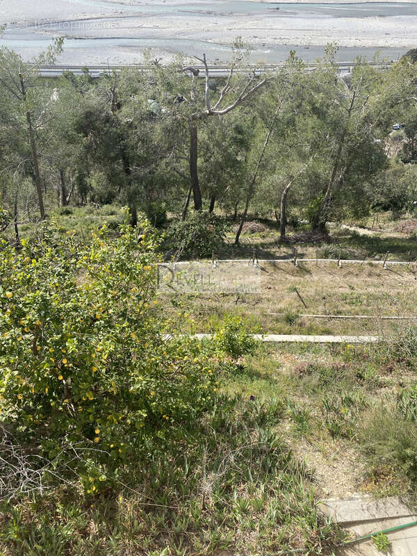 Maison à CASTAGNIERS