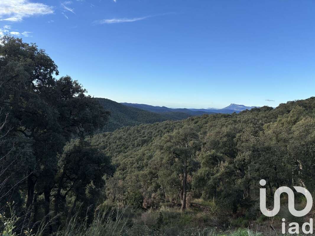 Photo 5 - Maison à PUGET-VILLE