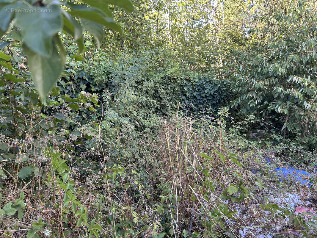 A VENDRE - Maison à réhabiliter avec jardin Argenton-sur-Creuse centre-ville - photo 5