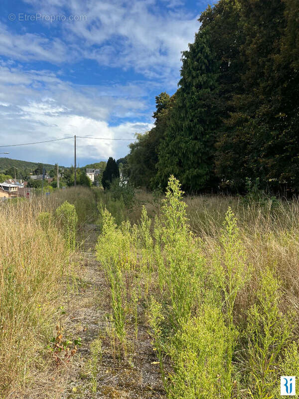 Terrain à SAINT-LEGER-DU-BOURG-DENIS