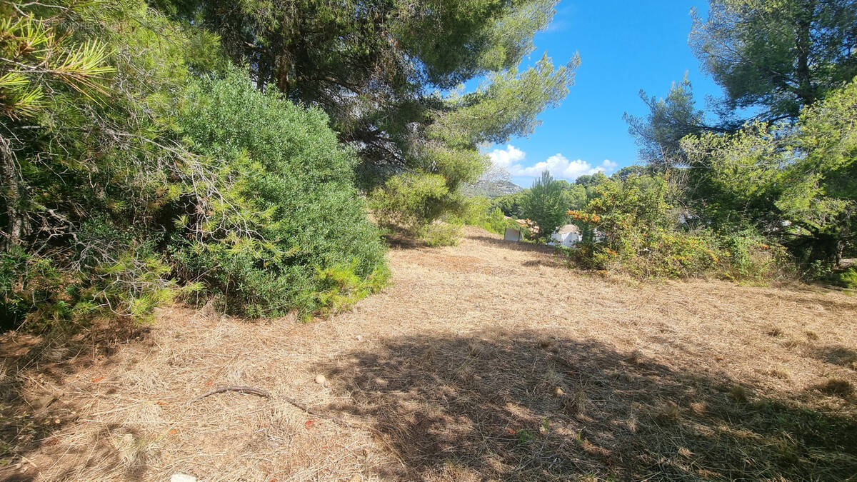 Terrain à CARQUEIRANNE