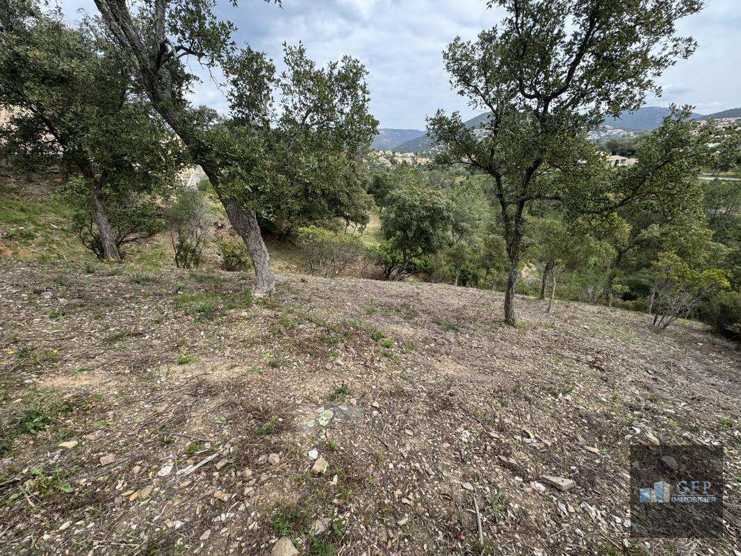 Terrain à LA LONDE-LES-MAURES