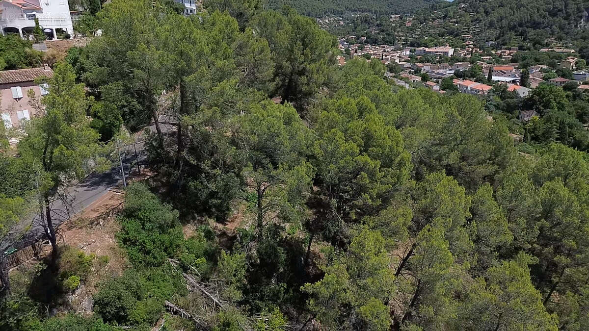 Terrain à SOLLIES-TOUCAS