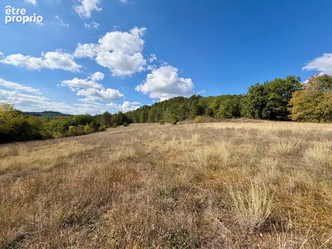 Maison en pierre, grange et dependance sur plus de 10 hectares sans voisinage - photo 23