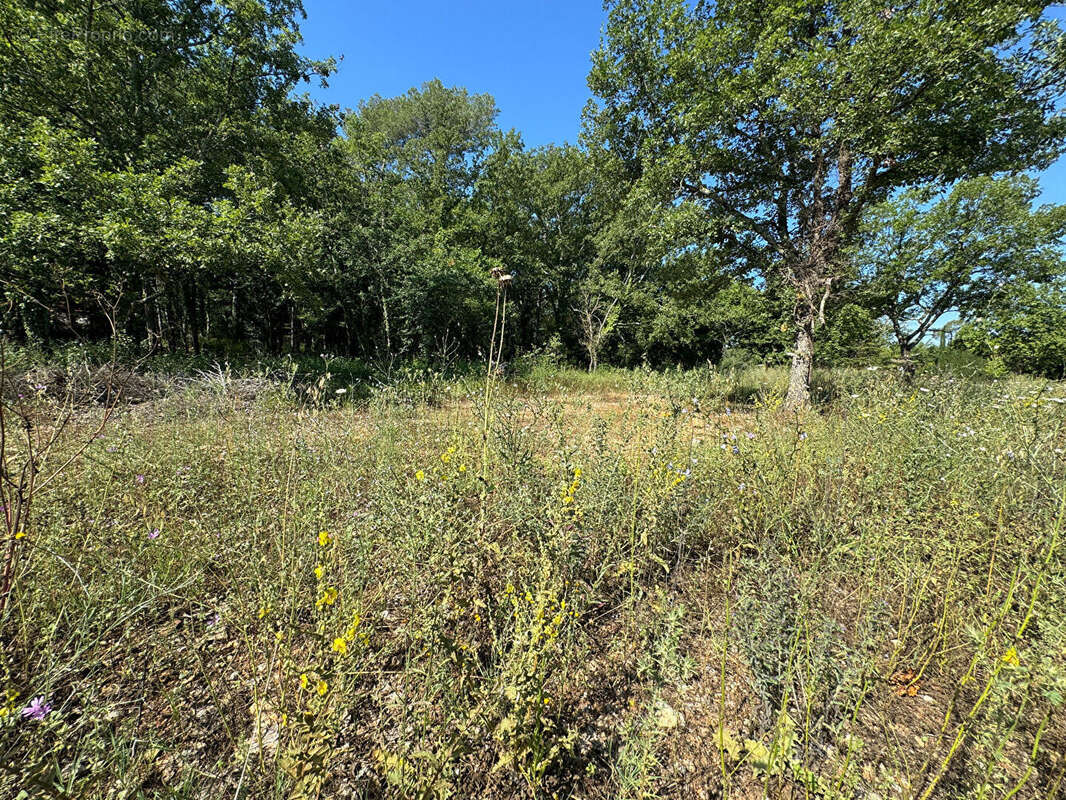 Terrain à TOURRETTES