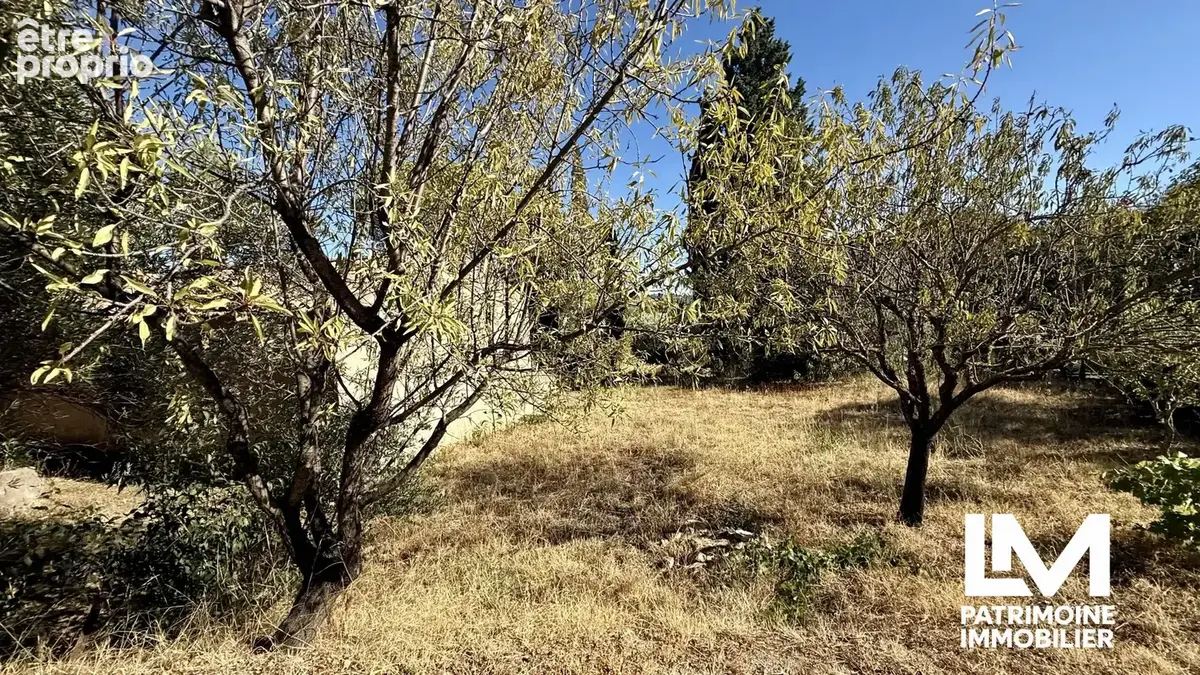 Terrain 971 m² à vendre à Neffies (34320) - photo 4
