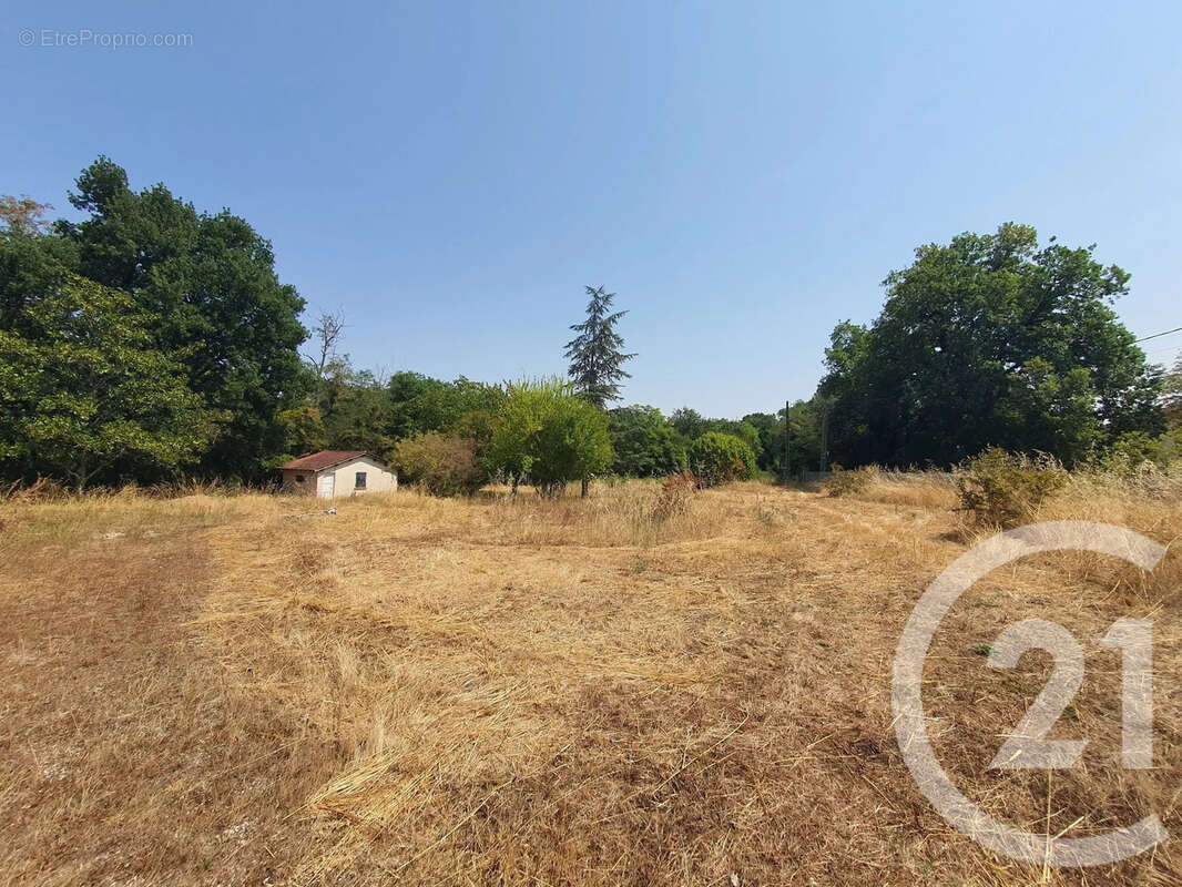 Terrain 850 m² à Montans  - photo 5
