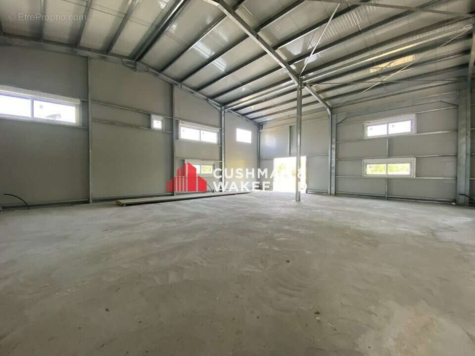 486 m² à Grisolles  - photo 6