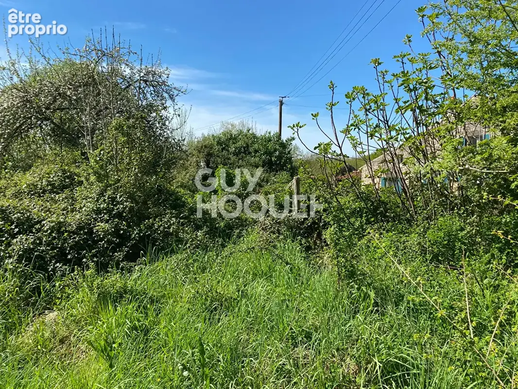 Terrain 1 661 m² à vendre à Foussais-Payre (85240) - photo 5