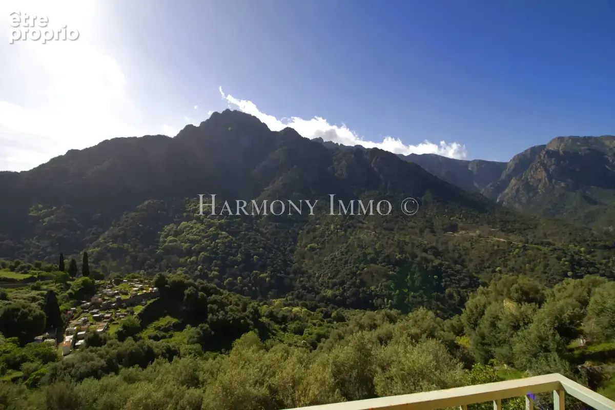 Exclusivité : Immeuble Ota  Vue Montagne Imprenable Fort Potentiel Locatif - photo 11