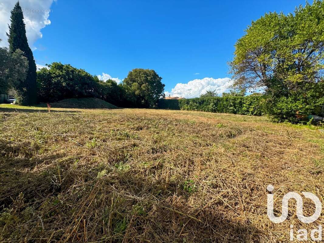 Photo 2 - Terrain à MAILLANE