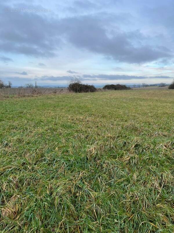Terrain à SAINT-COSME-EN-VAIRAIS