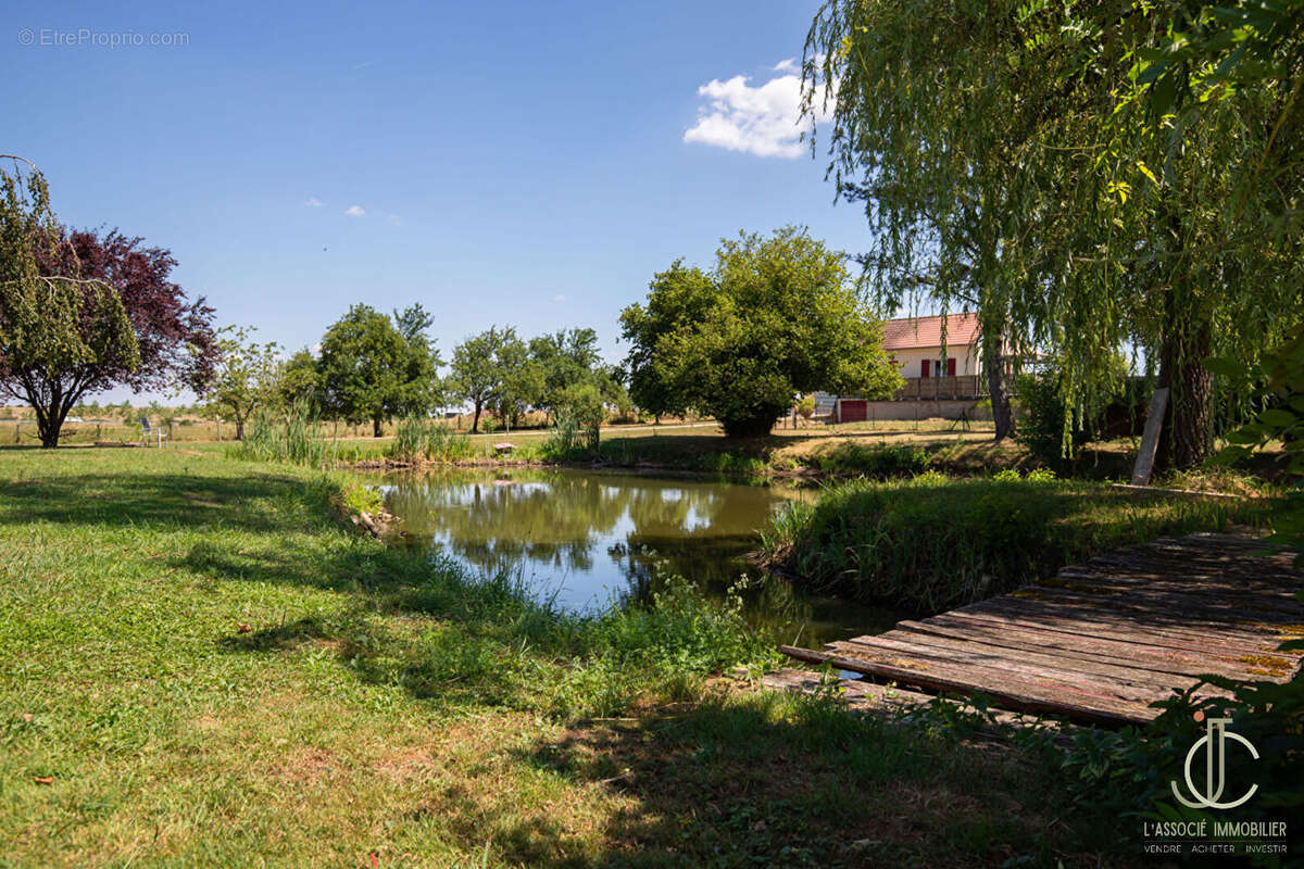Saint Ouen Les Parey / Vosges : Ancien Moulin rénové 328m², Étang, 2.6 Hectares, DPE A - photo 7
