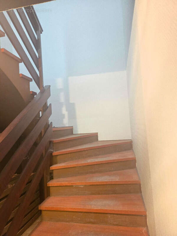 Commerce à SAINT-AVOLD