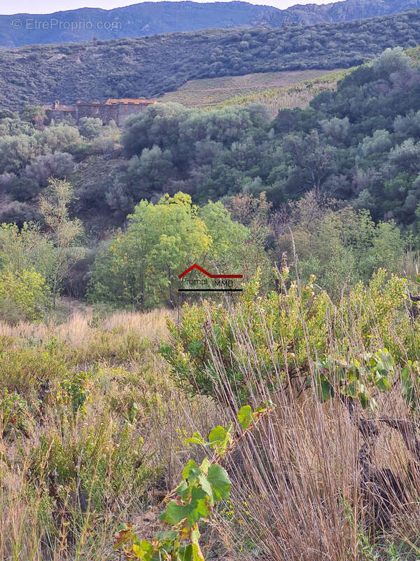 Terrain à BANYULS-SUR-MER