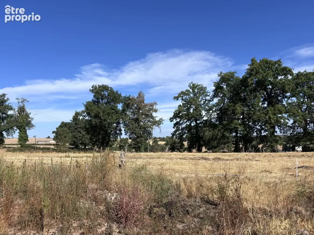 Le Donjon - Ferme à rénover avec une grande grange et des dépendances, sur un terrain de plus de 3 hectares co - photo 32