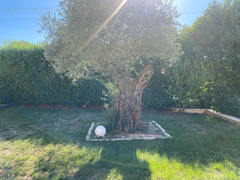 Maison à SAINT-MARTIN-DE-VALGALGUES