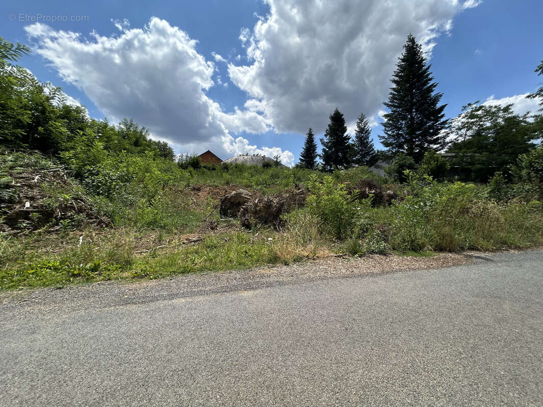 Terrain à SAINT-CLEMENT