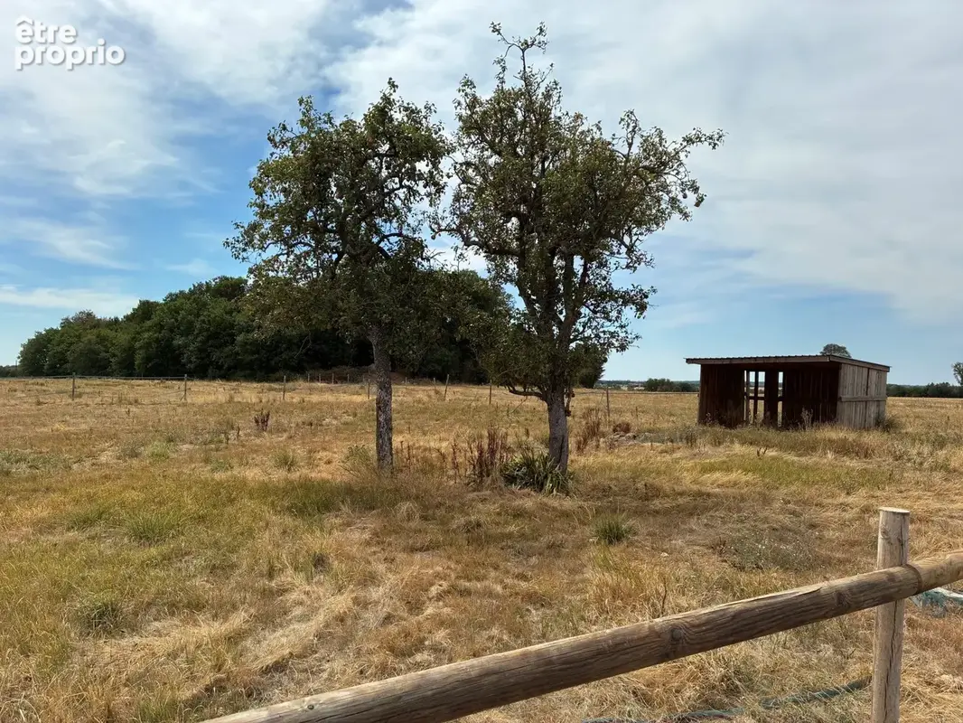 Maison 6 pièces 160 m² à vendre à Chauvigny (86300) - photo 2