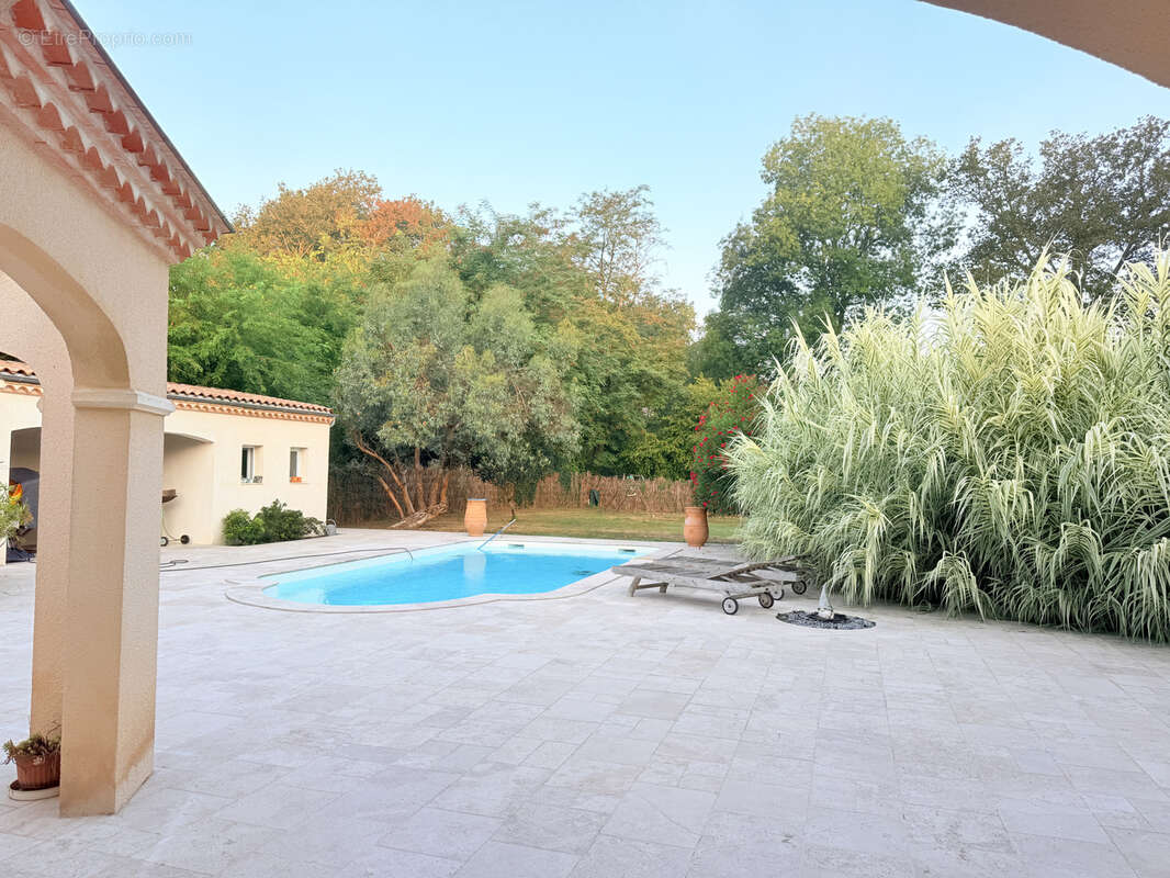 Bien rare ! pour les amoureux de la tranquilite et de la nature ! - photo 2