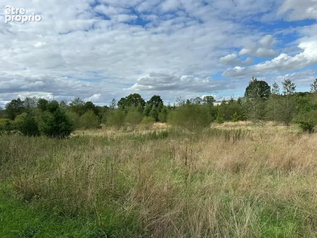 Proximité de CARROUGES - PROPRIÉTÉ RURALE D'EXCEPTION EN PIERRE sur terrain de 2ha - DPE C ! (pompe à chaleur) - photo 18