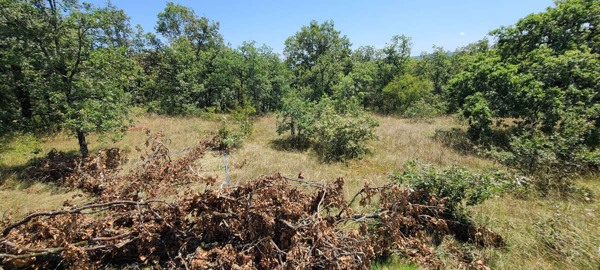 Terrain à GIGNAC