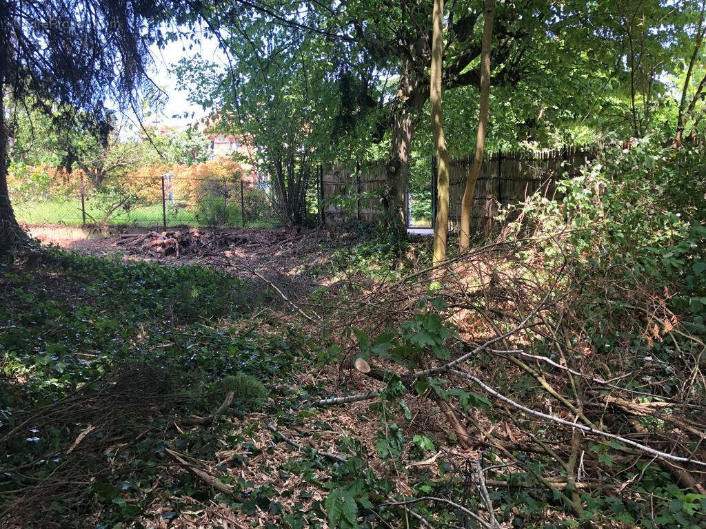 GARCHES , près Parc Casimir-Davaine  : Terrain de 600 m² avec PC pour construire une maison de 221 m² ( R+1 ) = 990.000 € + hono - photo 5