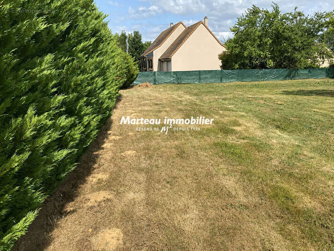 Terrain à YVRE-L'EVEQUE