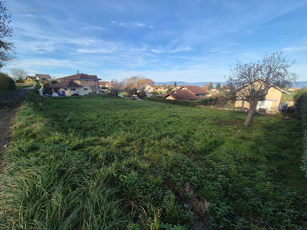 Terrain à ALLINGES