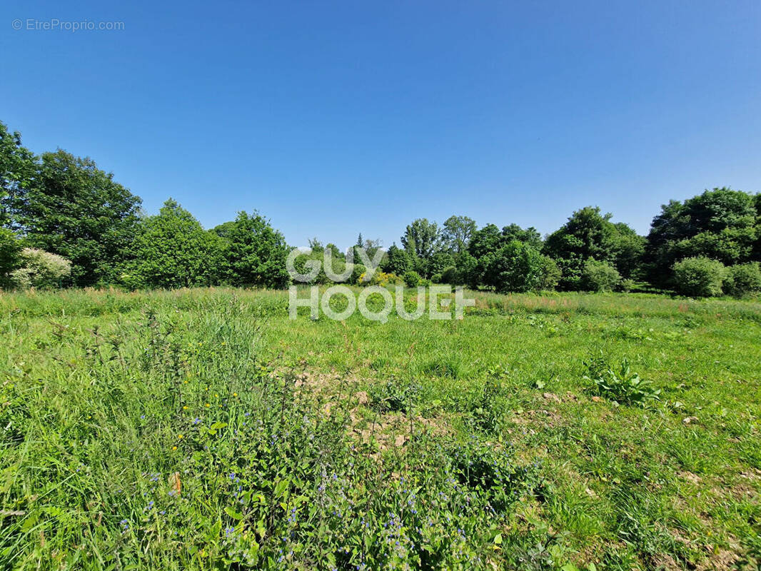 Terrain à SAINT-GUYOMARD
