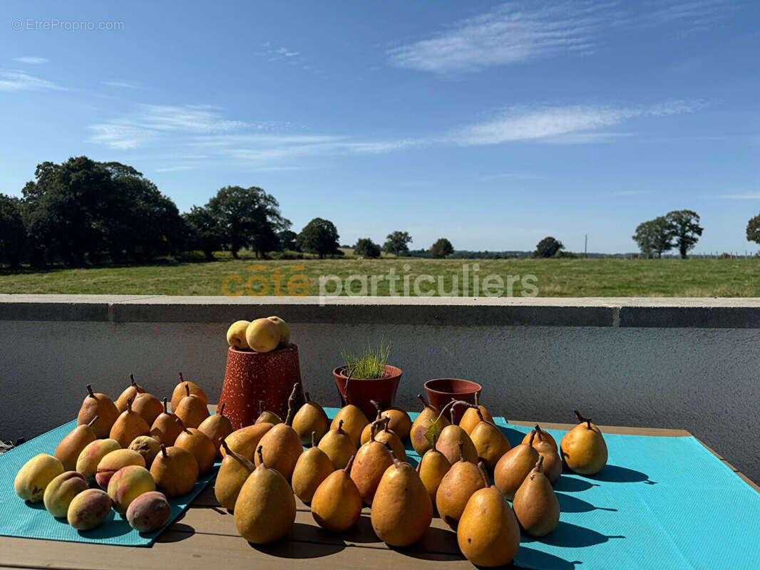 Maison à SAVIGNY-LE-VIEUX