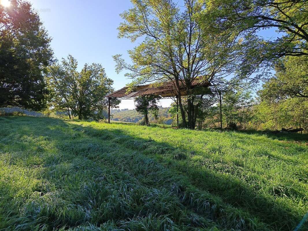 Terrain de 9582m² - photo 12