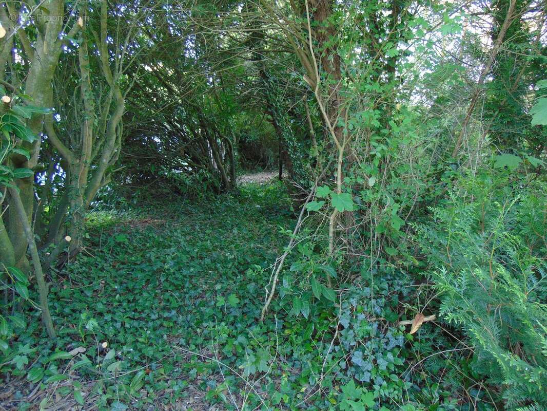 Photo 3 - Terrain à FONTENAY-SUR-LOING
