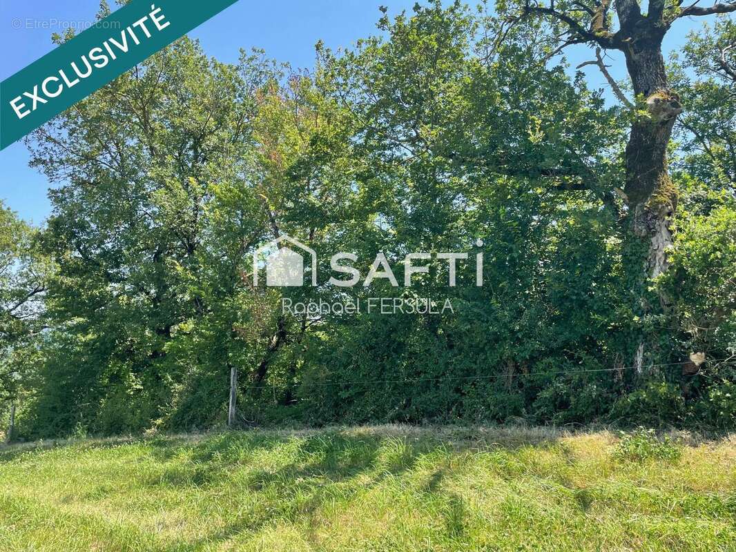 Photo 5 - Terrain à CASTRES