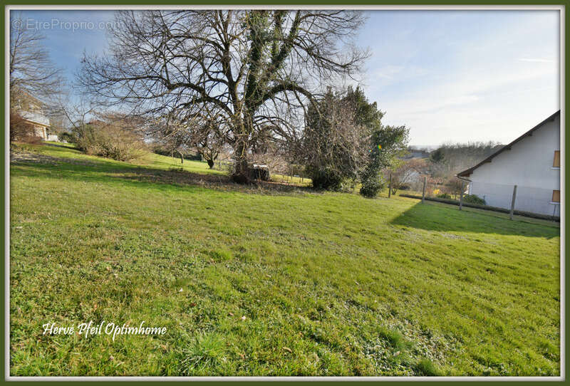 Terrain à ORNACIEUX