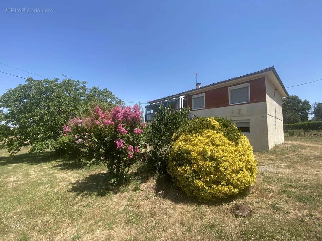 Maison t4 avec 7450 m² de terrain agricoleavec potentiel - photo 11