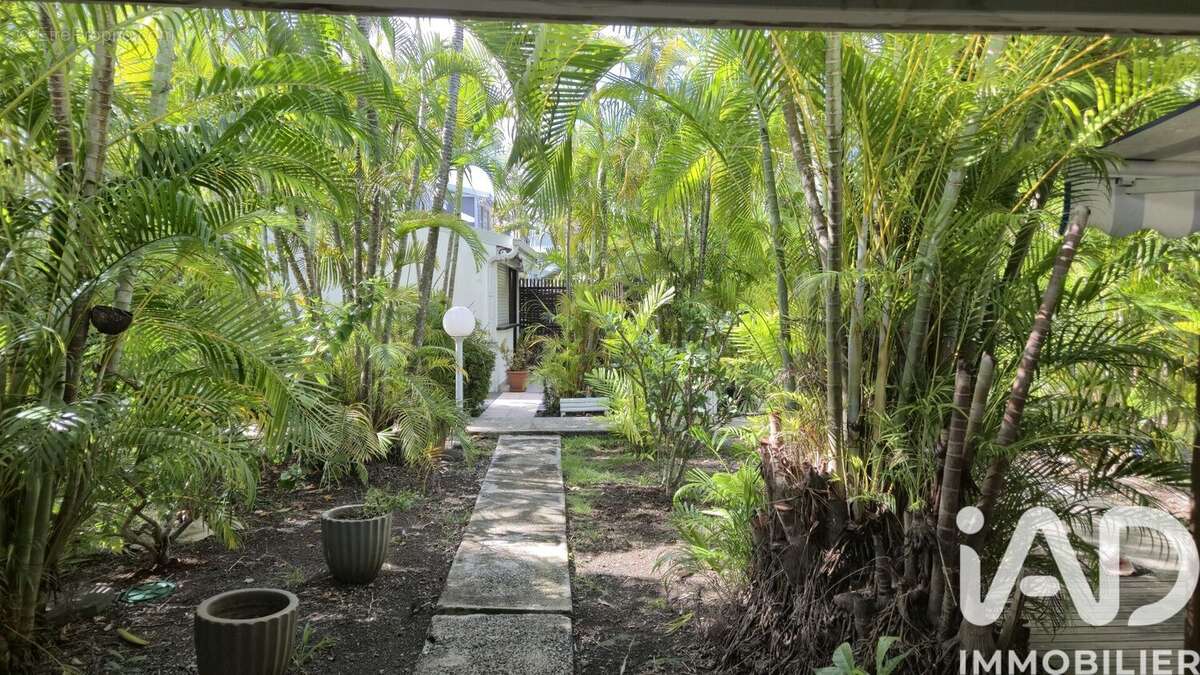 Photo 2 - Appartement à SAINT-FRANCOIS