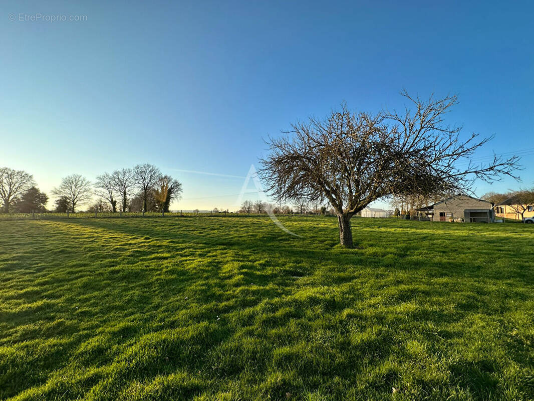 Terrain à MAYENNE