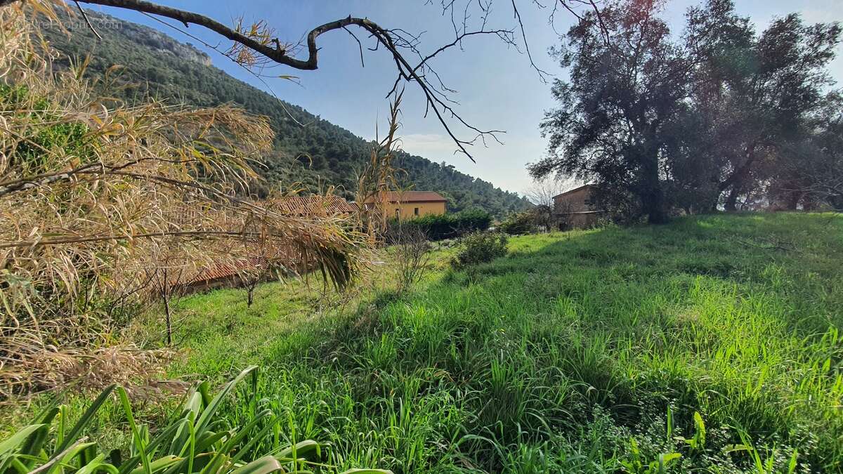 Terrain à LA TURBIE