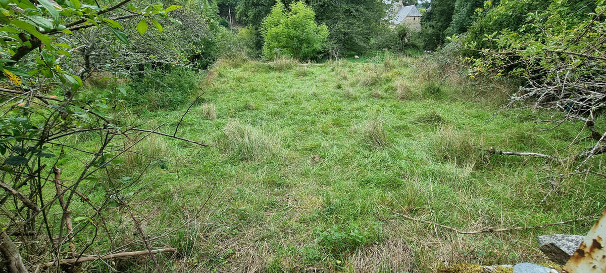 Nouveauté ! - photo 9