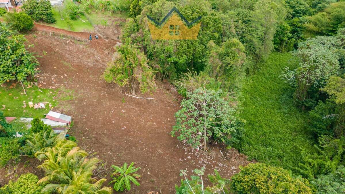 Terrain à SAINT-ESPRIT