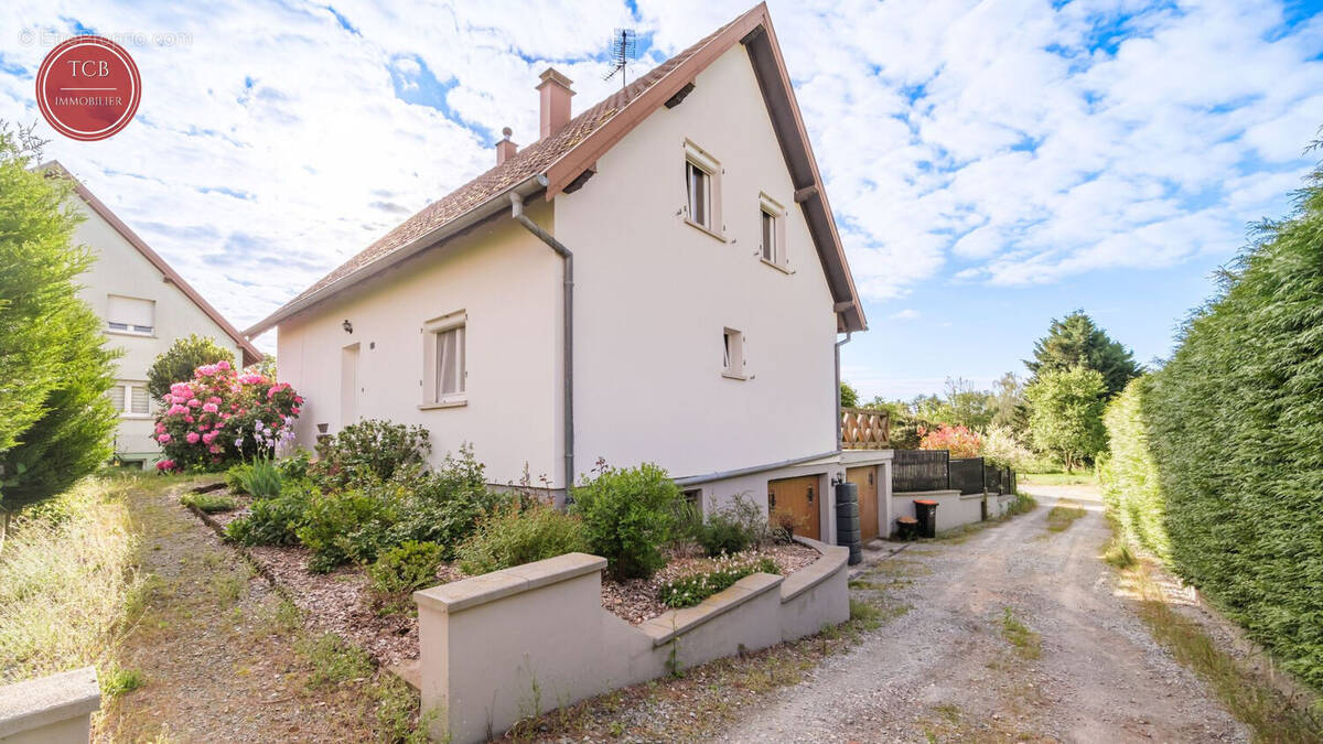 Maison à DANNEMARIE