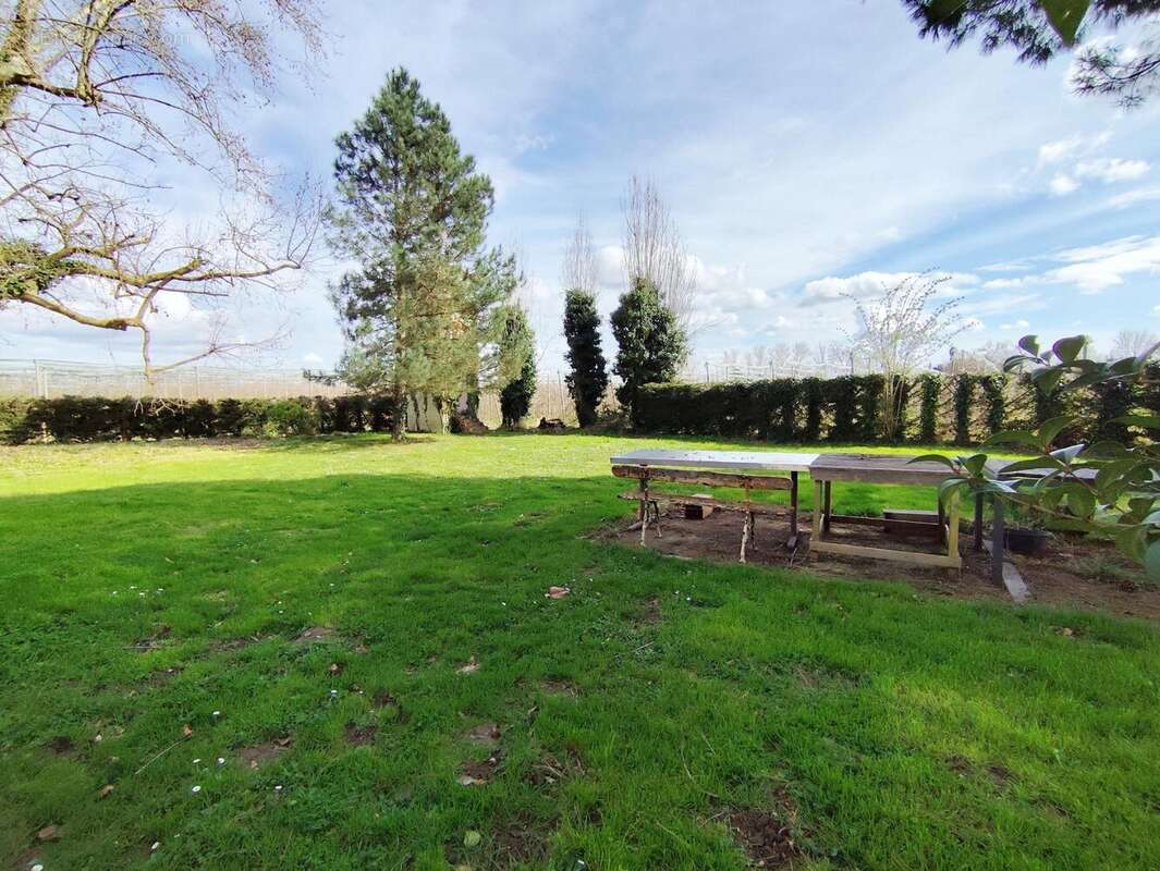 Photo 2 - Appartement à CASTELSARRASIN