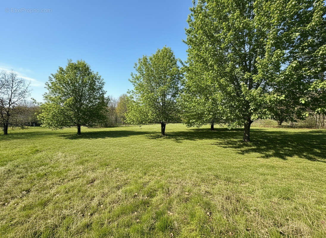 Terrain à MONTBERON