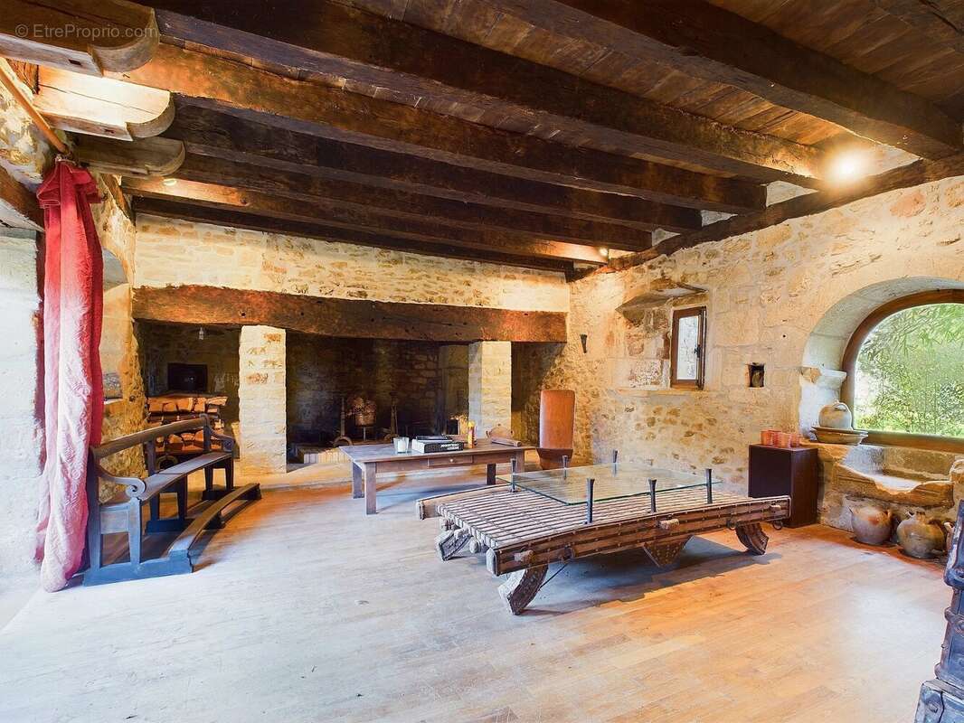 Beau manoir historique au coeur du Perigord Noir - photo 11